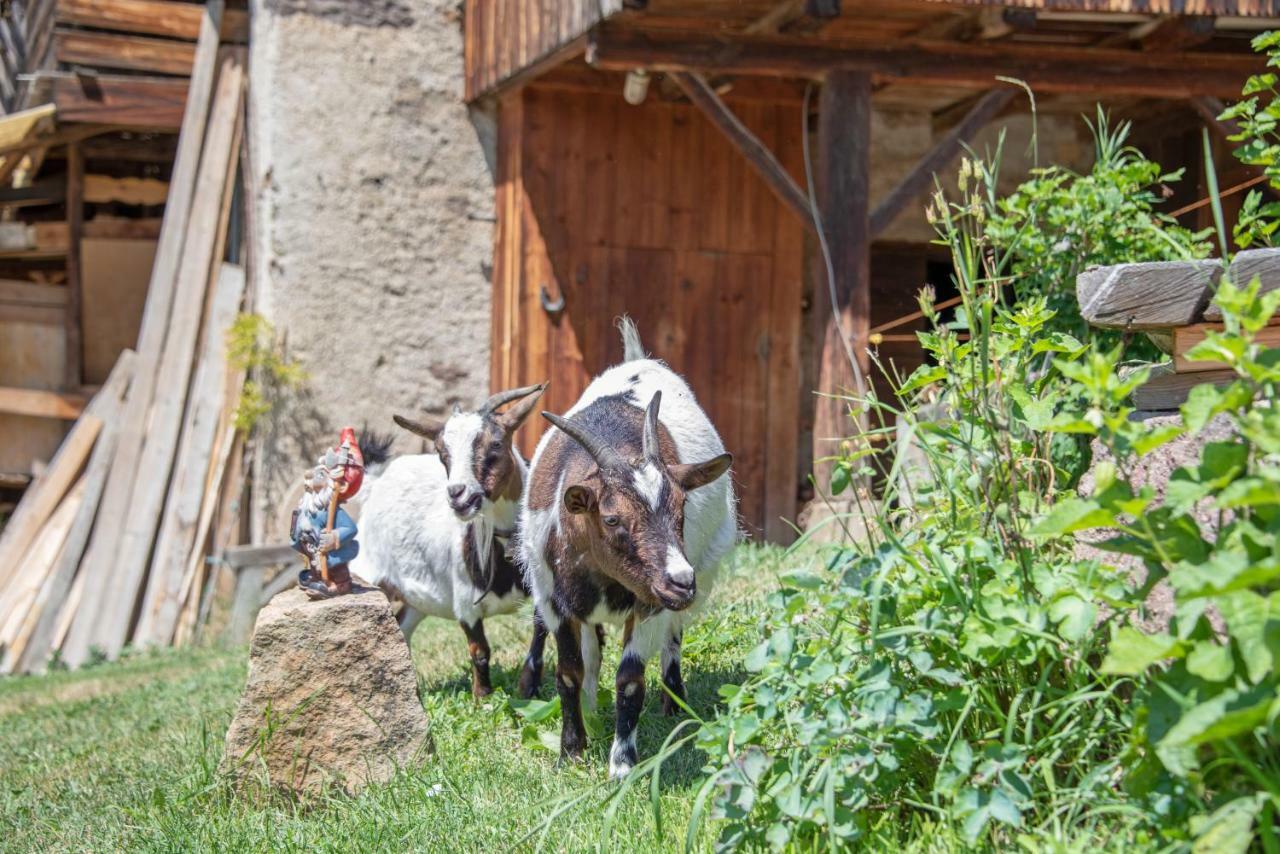Ferienbauernhof Wieserhof Fiè Buitenkant foto